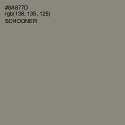 #8A877D - Schooner Color Image