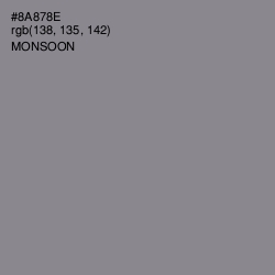 #8A878E - Monsoon Color Image