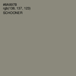 #8A897B - Schooner Color Image