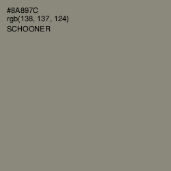 #8A897C - Schooner Color Image