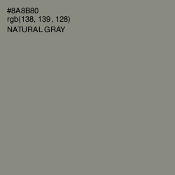 #8A8B80 - Natural Gray Color Image