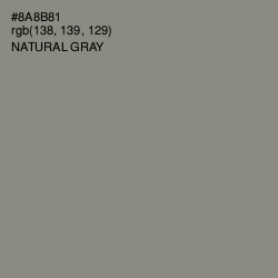 #8A8B81 - Natural Gray Color Image