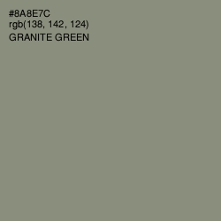 #8A8E7C - Granite Green Color Image