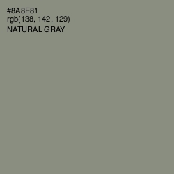 #8A8E81 - Natural Gray Color Image