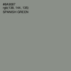 #8A9087 - Spanish Green Color Image