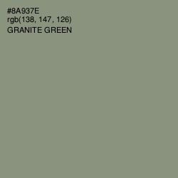 #8A937E - Granite Green Color Image