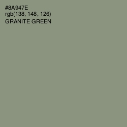 #8A947E - Granite Green Color Image