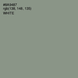 #8A9487 - Spanish Green Color Image