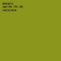 #8A961C - Hacienda Color Image