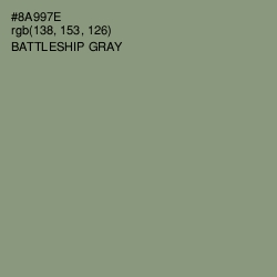 #8A997E - Battleship Gray Color Image