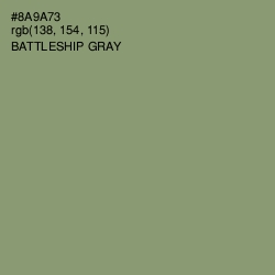 #8A9A73 - Battleship Gray Color Image