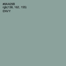 #8AA29B - Envy Color Image