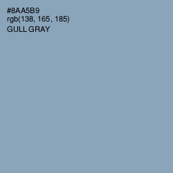 #8AA5B9 - Gull Gray Color Image