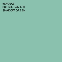 #8AC0AE - Shadow Green Color Image