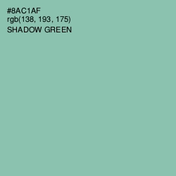 #8AC1AF - Shadow Green Color Image