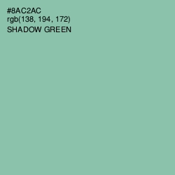 #8AC2AC - Shadow Green Color Image