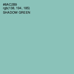 #8AC2B9 - Shadow Green Color Image