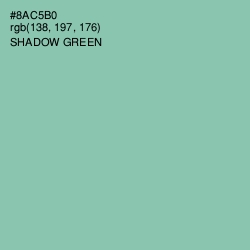 #8AC5B0 - Shadow Green Color Image