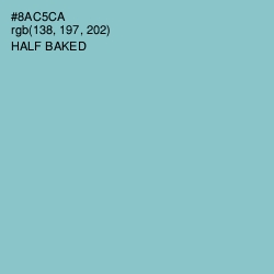 #8AC5CA - Half Baked Color Image