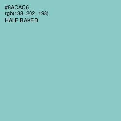 #8ACAC6 - Half Baked Color Image