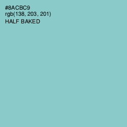 #8ACBC9 - Half Baked Color Image