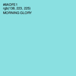 #8ADFE1 - Morning Glory Color Image