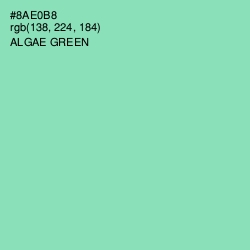 #8AE0B8 - Algae Green Color Image