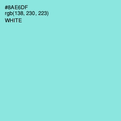 #8AE6DF - Riptide Color Image