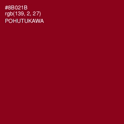 #8B021B - Pohutukawa Color Image
