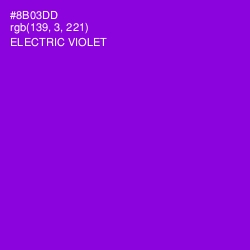 #8B03DD - Electric Violet Color Image