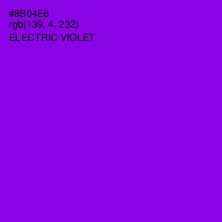 #8B04E8 - Electric Violet Color Image