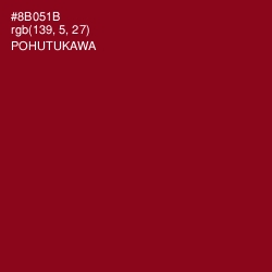 #8B051B - Pohutukawa Color Image