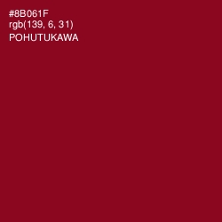 #8B061F - Pohutukawa Color Image