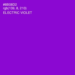 #8B08D2 - Electric Violet Color Image