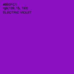 #8B0FC1 - Electric Violet Color Image