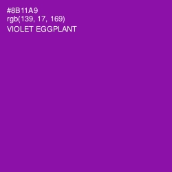 #8B11A9 - Violet Eggplant Color Image