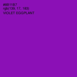 #8B11B7 - Violet Eggplant Color Image