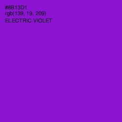 #8B13D1 - Electric Violet Color Image