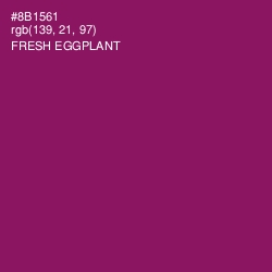 #8B1561 - Fresh Eggplant Color Image