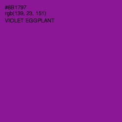 #8B1797 - Violet Eggplant Color Image