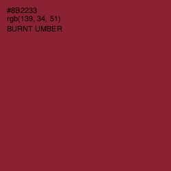 #8B2233 - Burnt Umber Color Image