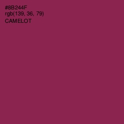 #8B244F - Camelot Color Image