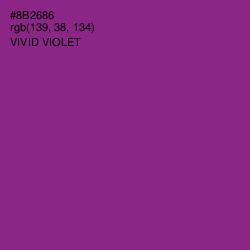 #8B2686 - Vivid Violet Color Image