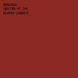 #8B2922 - Burnt Umber Color Image