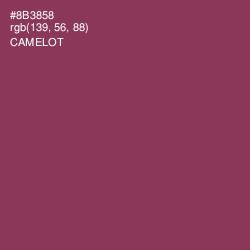 #8B3858 - Camelot Color Image