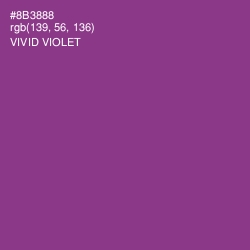 #8B3888 - Vivid Violet Color Image