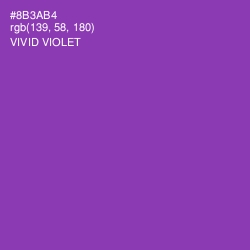 #8B3AB4 - Vivid Violet Color Image