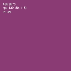 #8B3B73 - Plum Color Image