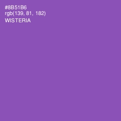 #8B51B6 - Wisteria Color Image