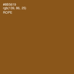 #8B5619 - Rope Color Image